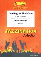 Looking At The Moon