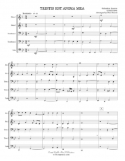 Tristis est anima mea